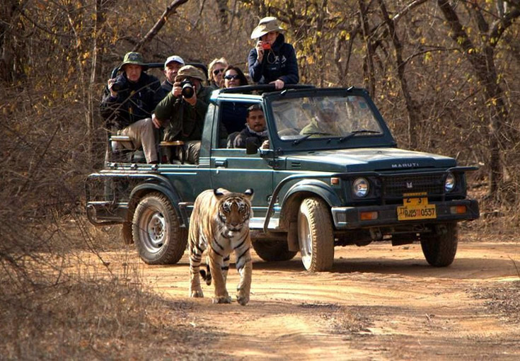 Jeep Safari in Jim Corbett
